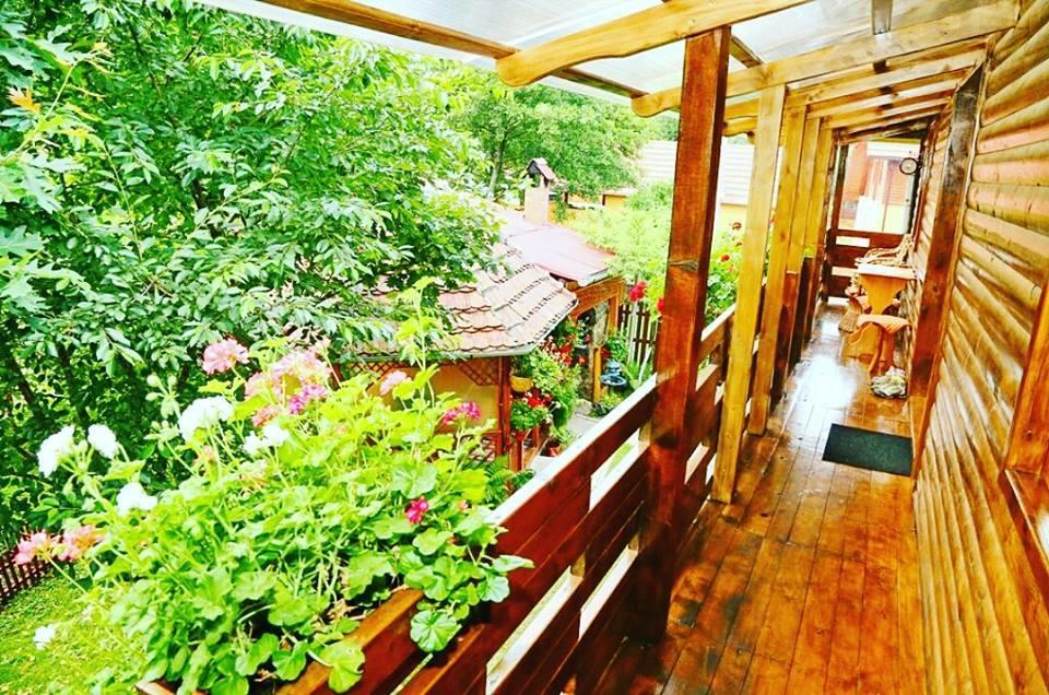 Casa Bunicii Hotel Costesti  Exterior photo